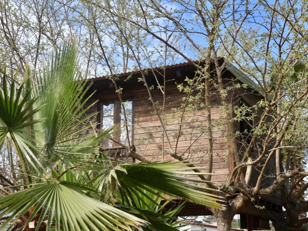 Naturetreehouse Casa Sobre Los Arboles Guest House Blanes Exterior photo