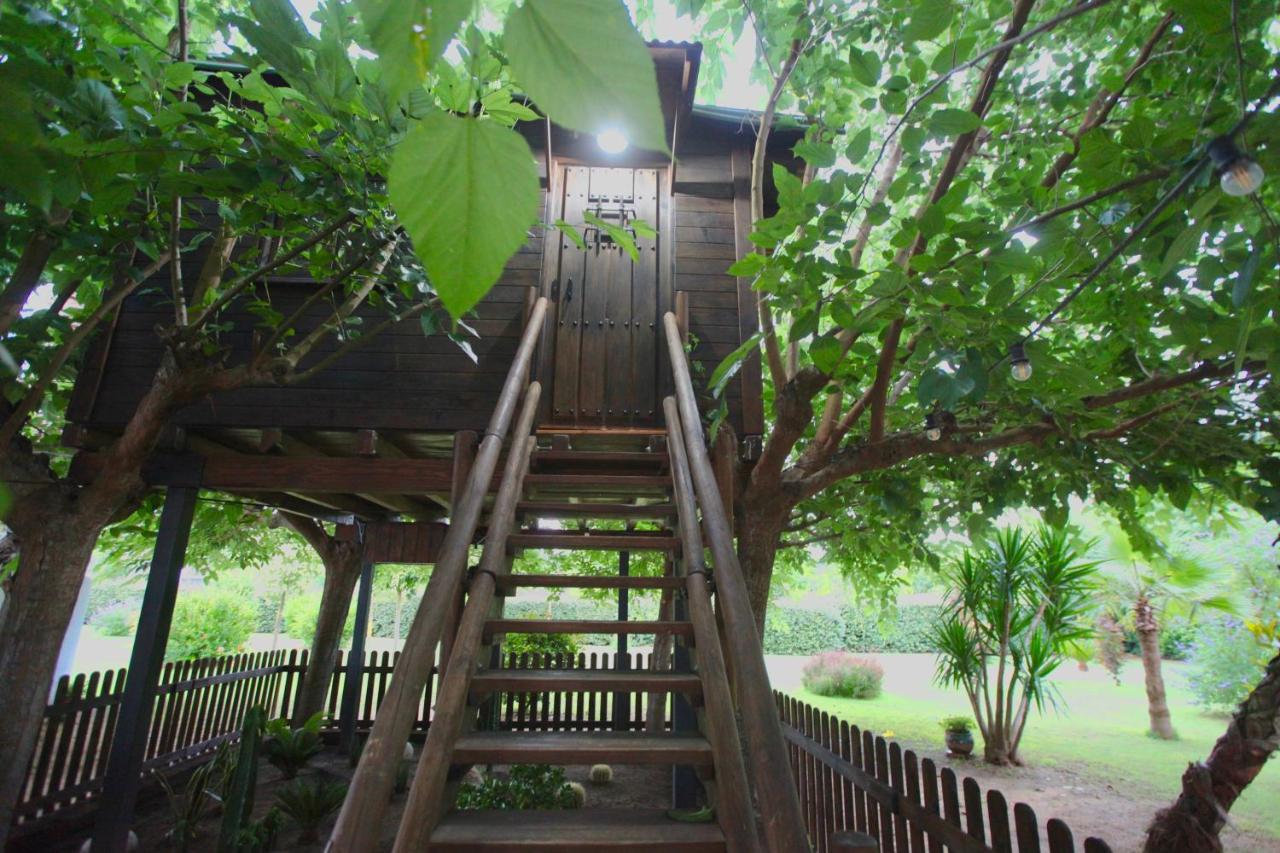 Naturetreehouse Casa Sobre Los Arboles Guest House Blanes Exterior photo