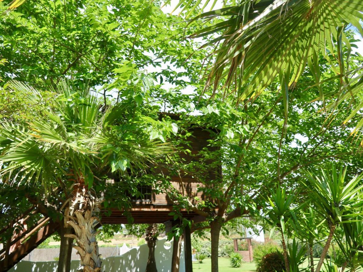 Naturetreehouse Casa Sobre Los Arboles Guest House Blanes Exterior photo
