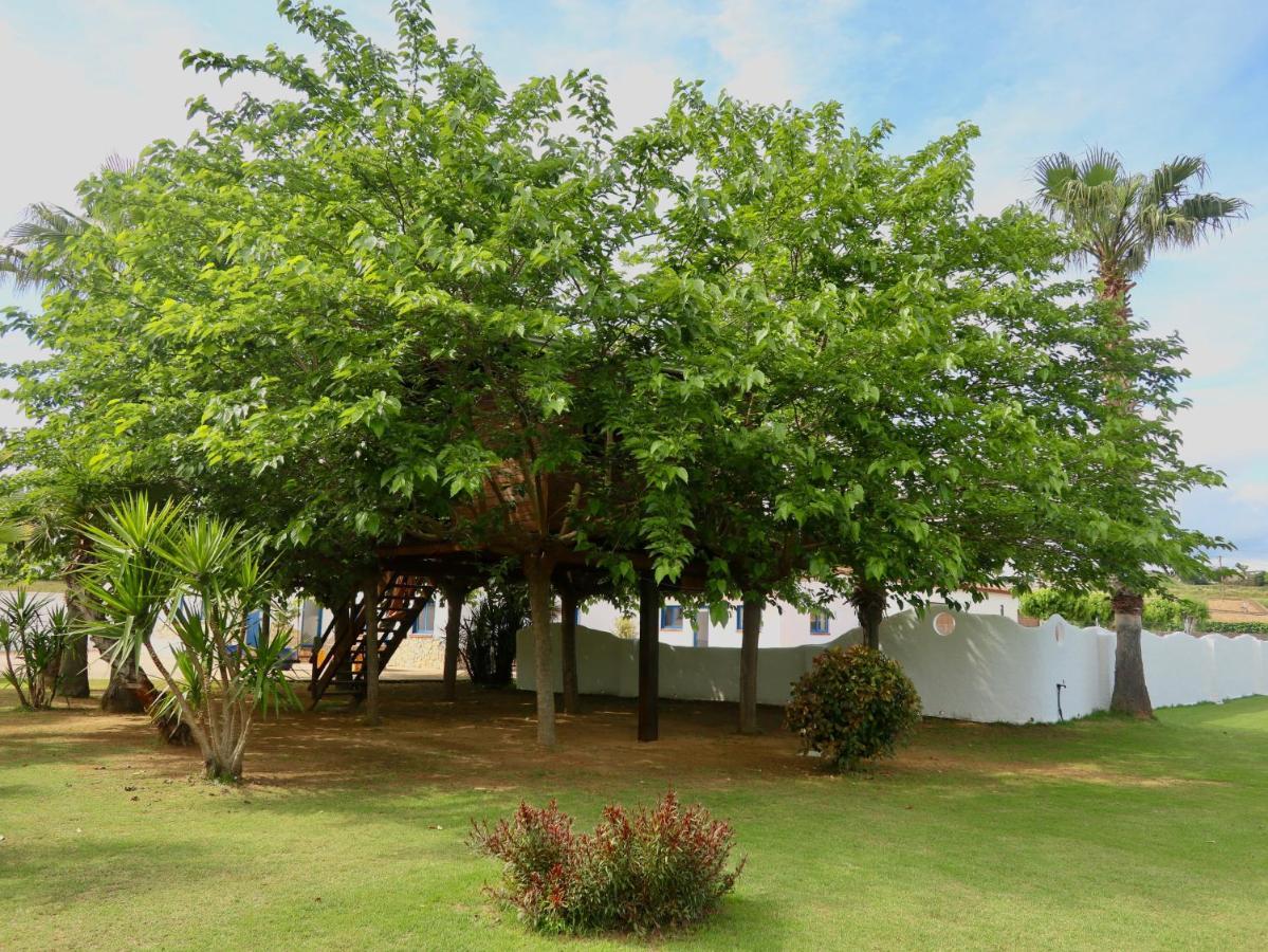 Naturetreehouse Casa Sobre Los Arboles Guest House Blanes Exterior photo